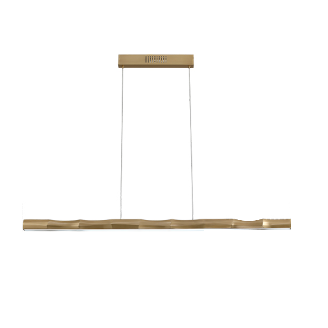 Branch