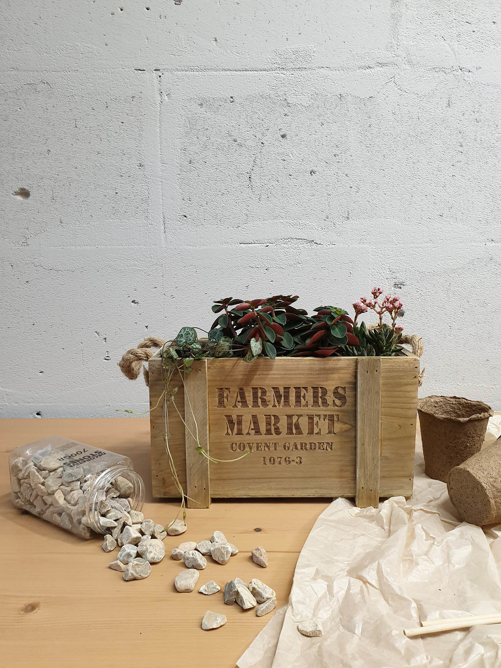 Садовый mix из горшечных растений