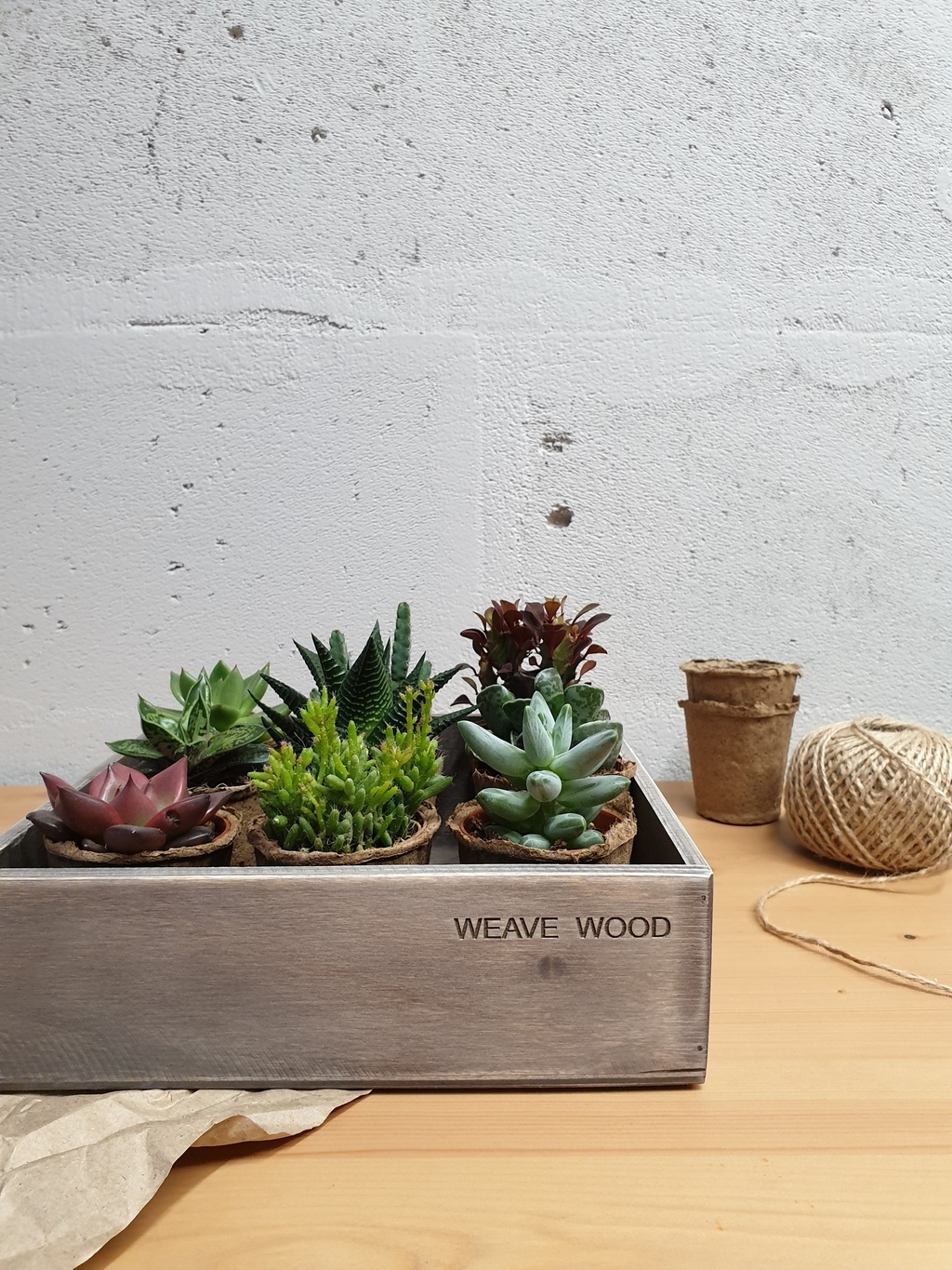 Набор суккулентов в ящике d5