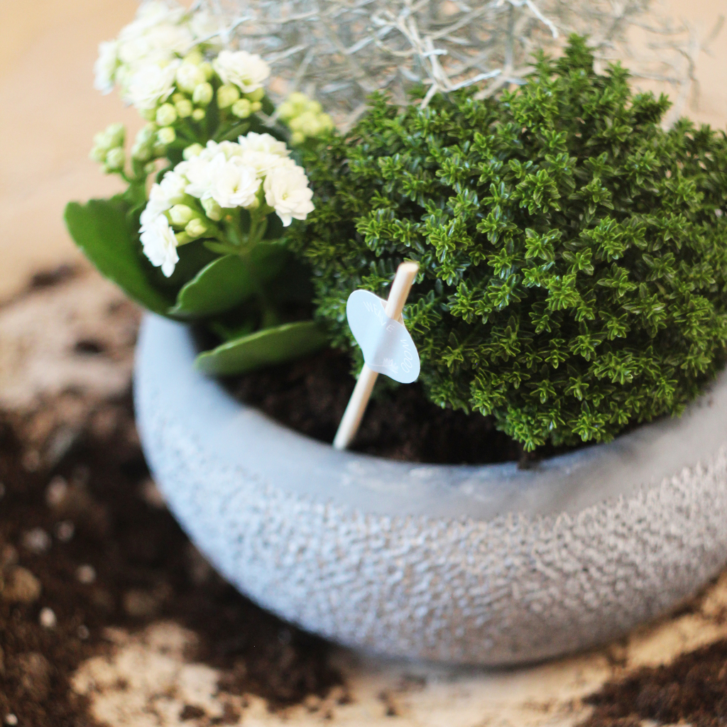 Mix сезонный зимний