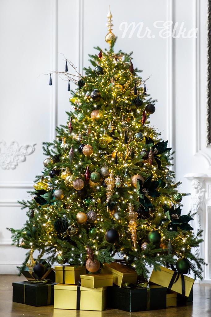 Ёлка "Скарабей"