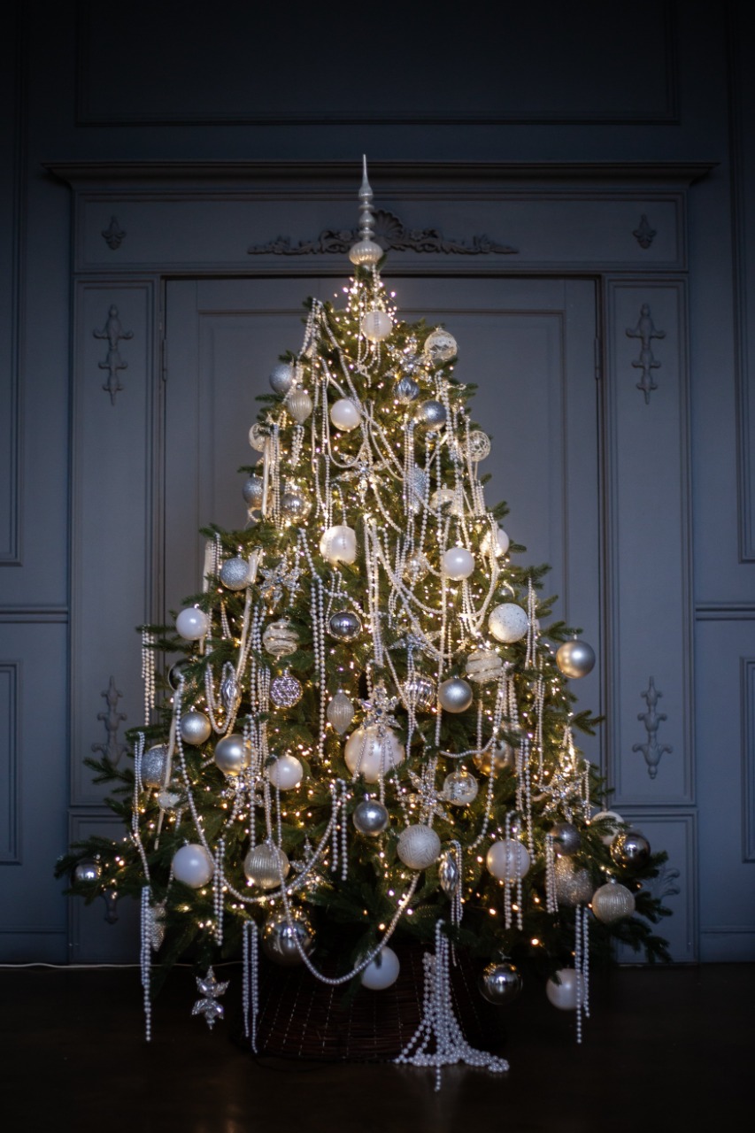 Ёлка "Графиня Дюббари"