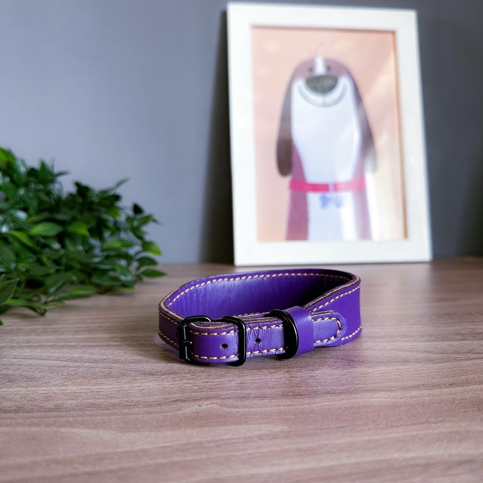 Ошейник Миндаль Фиолетовый