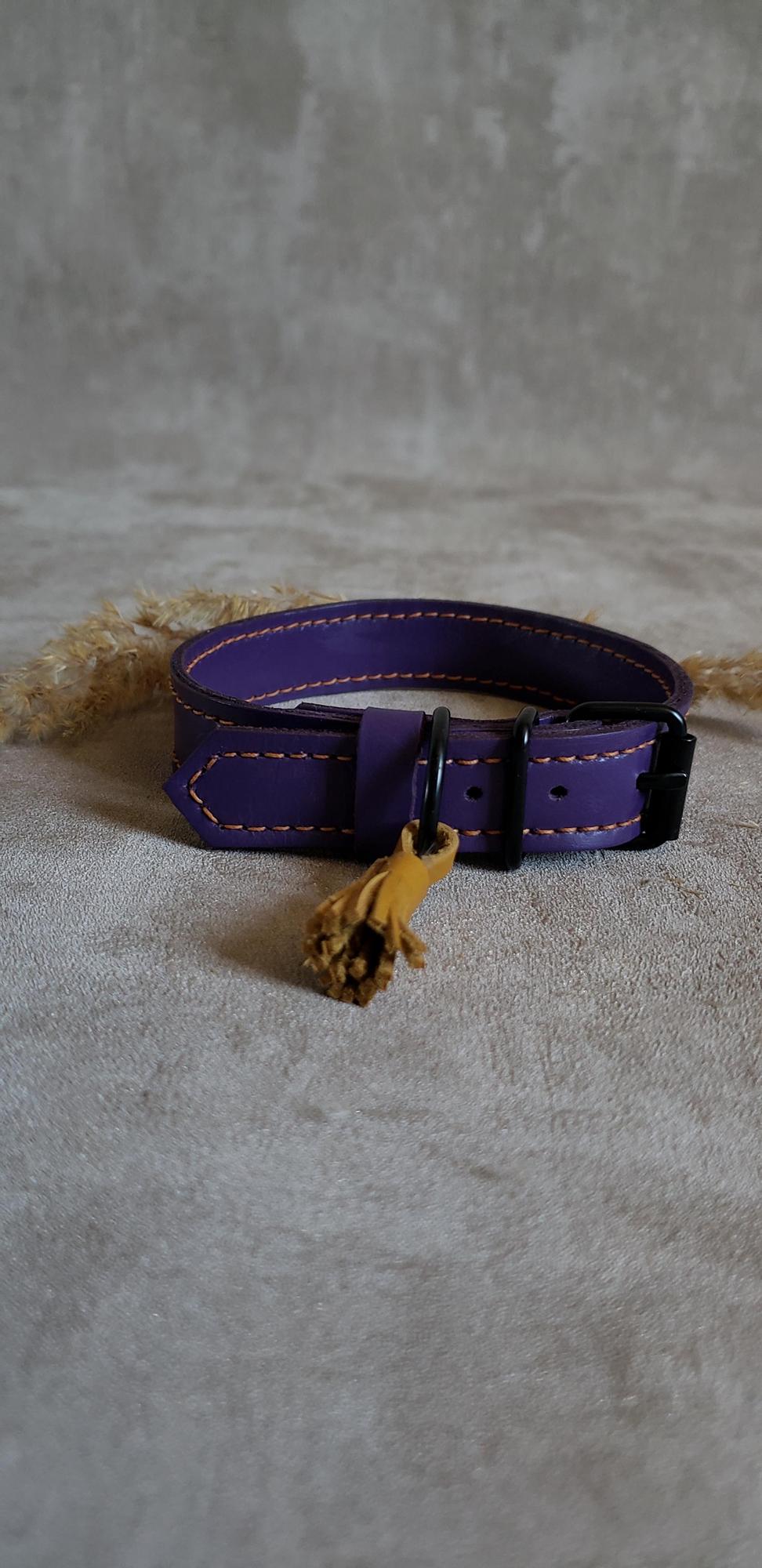 Ошейник Классический Фиолетовый