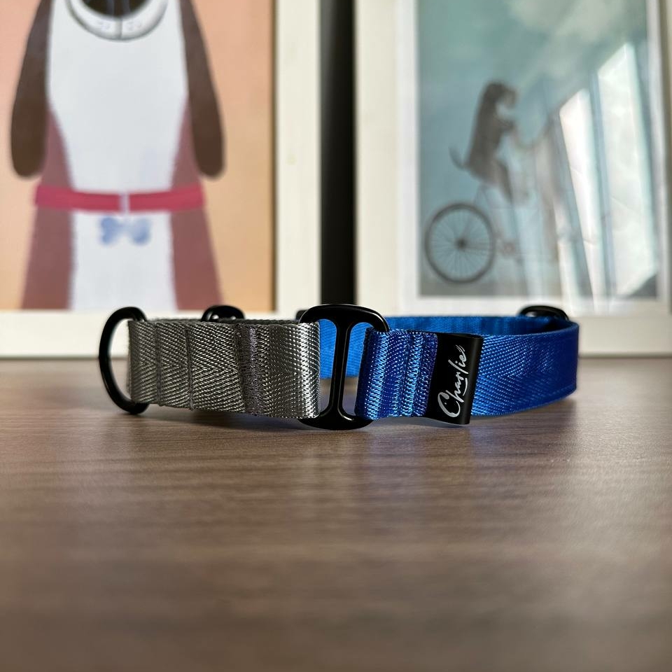Ошейник Blue&Stone