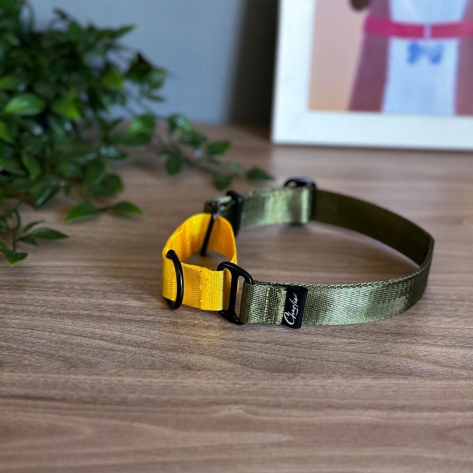 Ошейник Khaki&Yellow