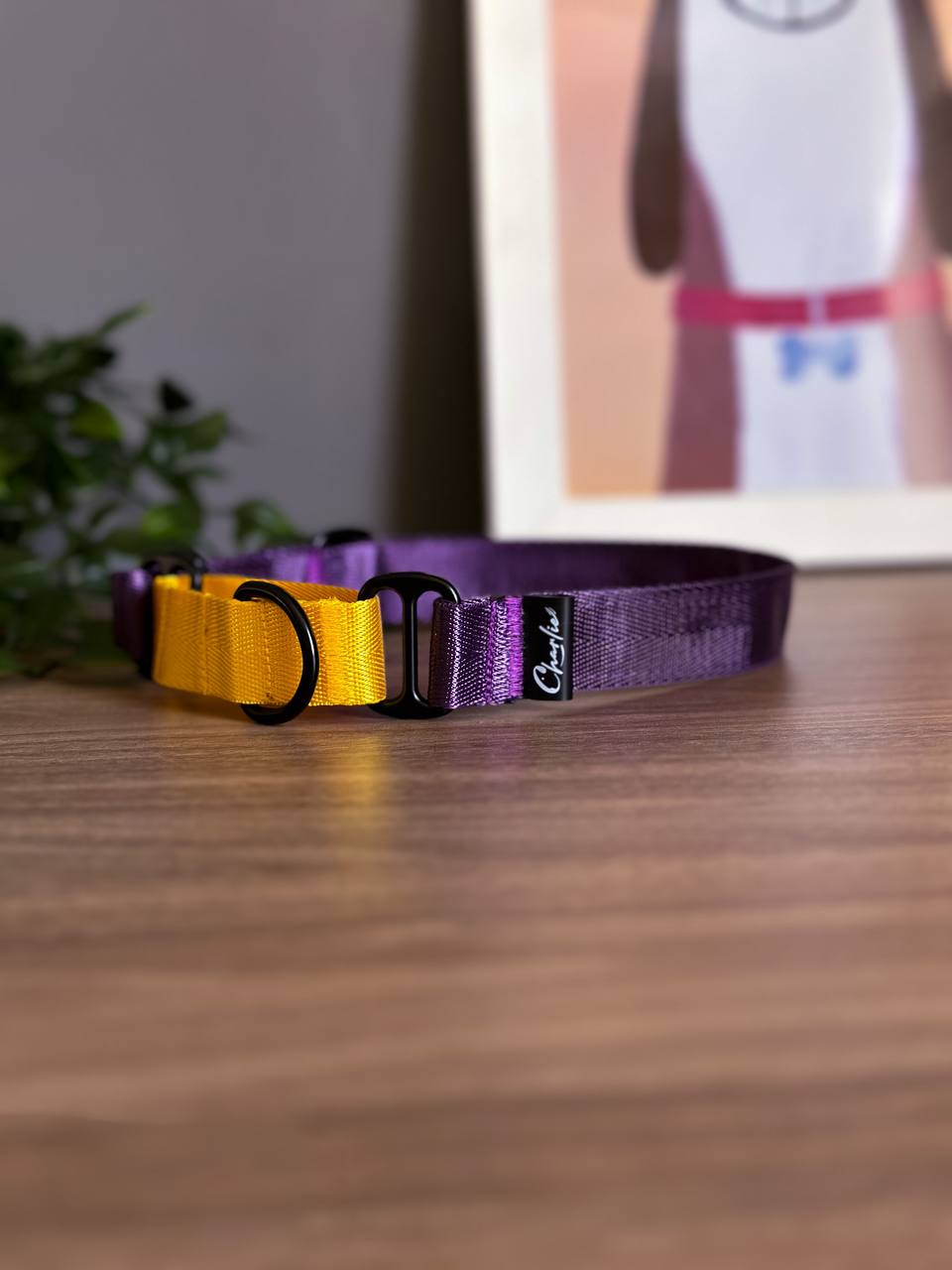 Ошейник Yellow&Plum