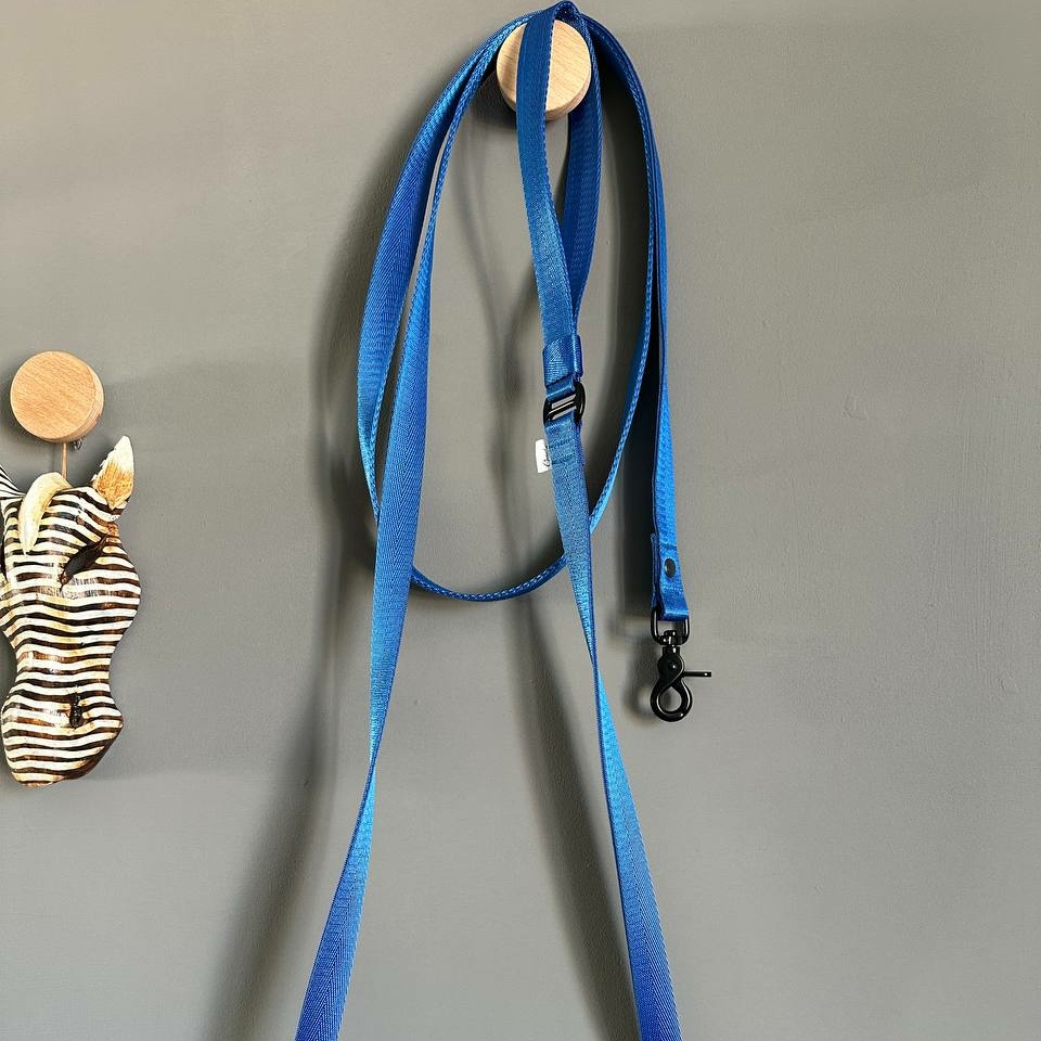 Поводок Solid Blue