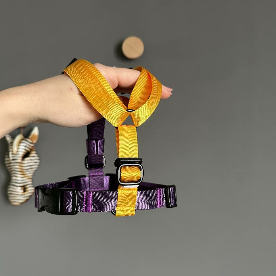 Шлейка Yellow&Plum