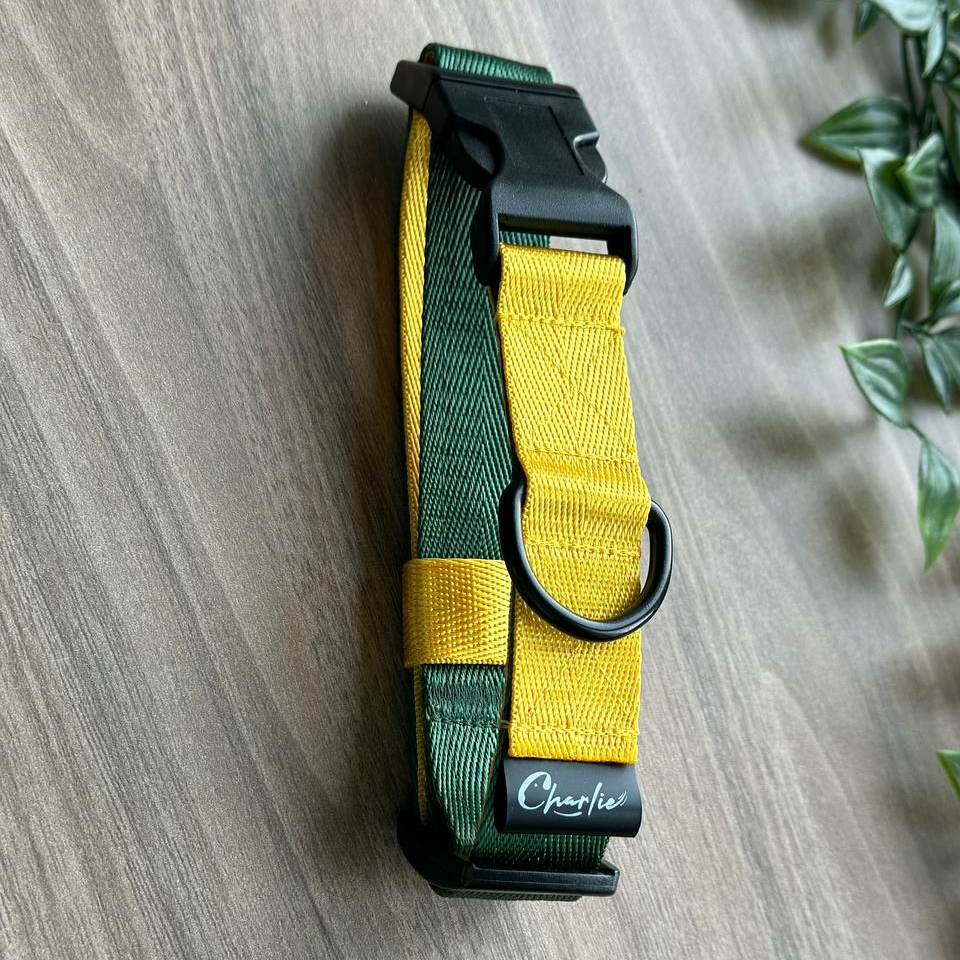 Ошейник Green&Yellow
