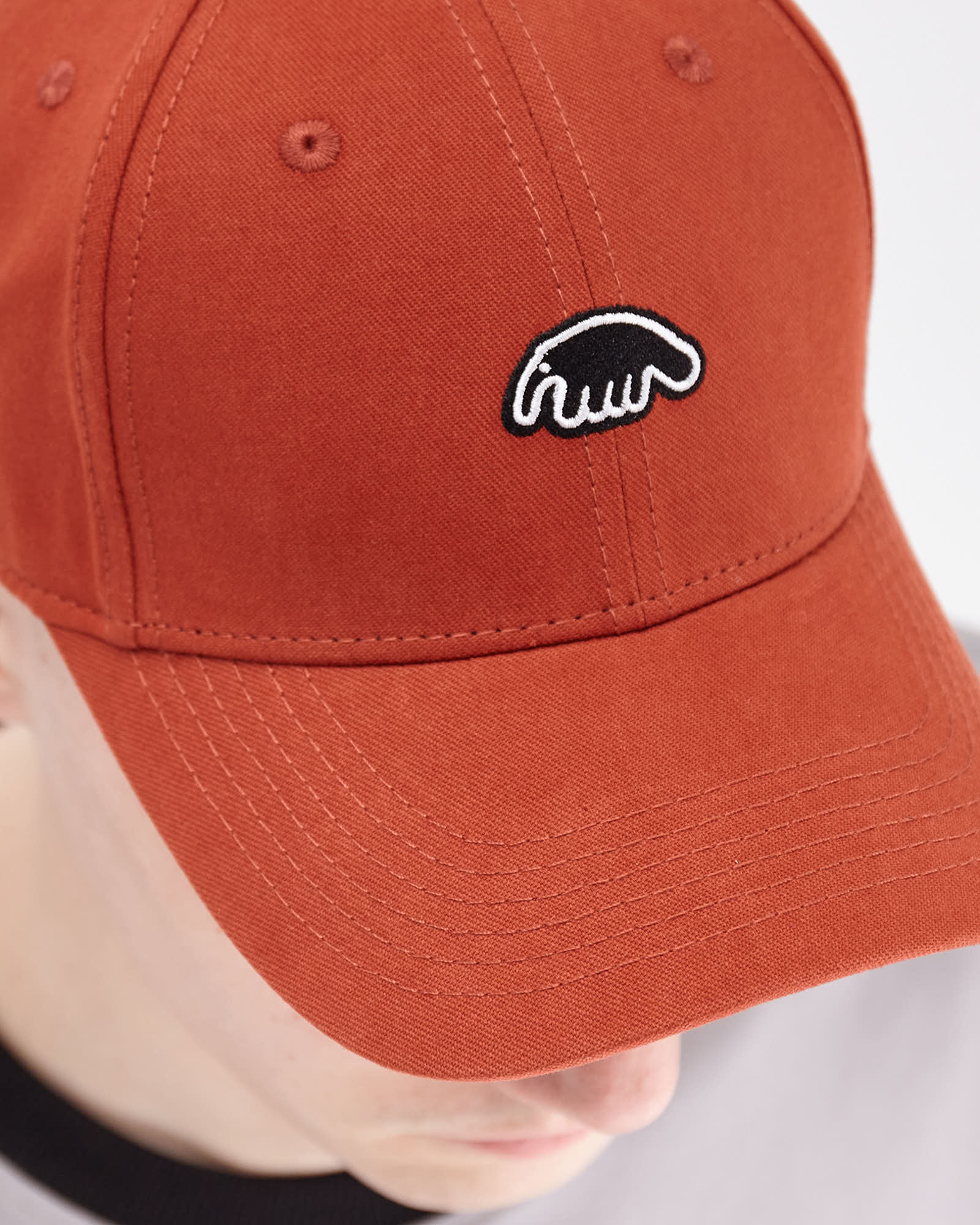 Кепка Anteater Baseball Терракотовый