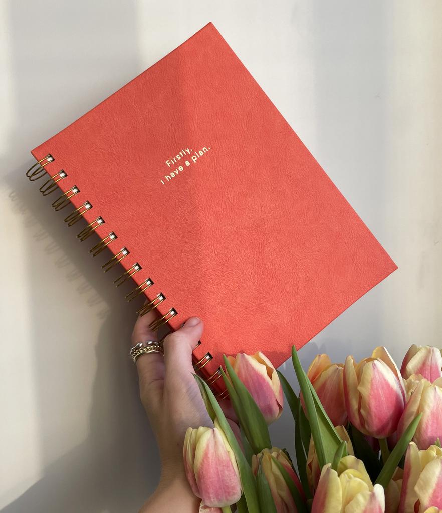 Планер «Firstly, i have a plan»