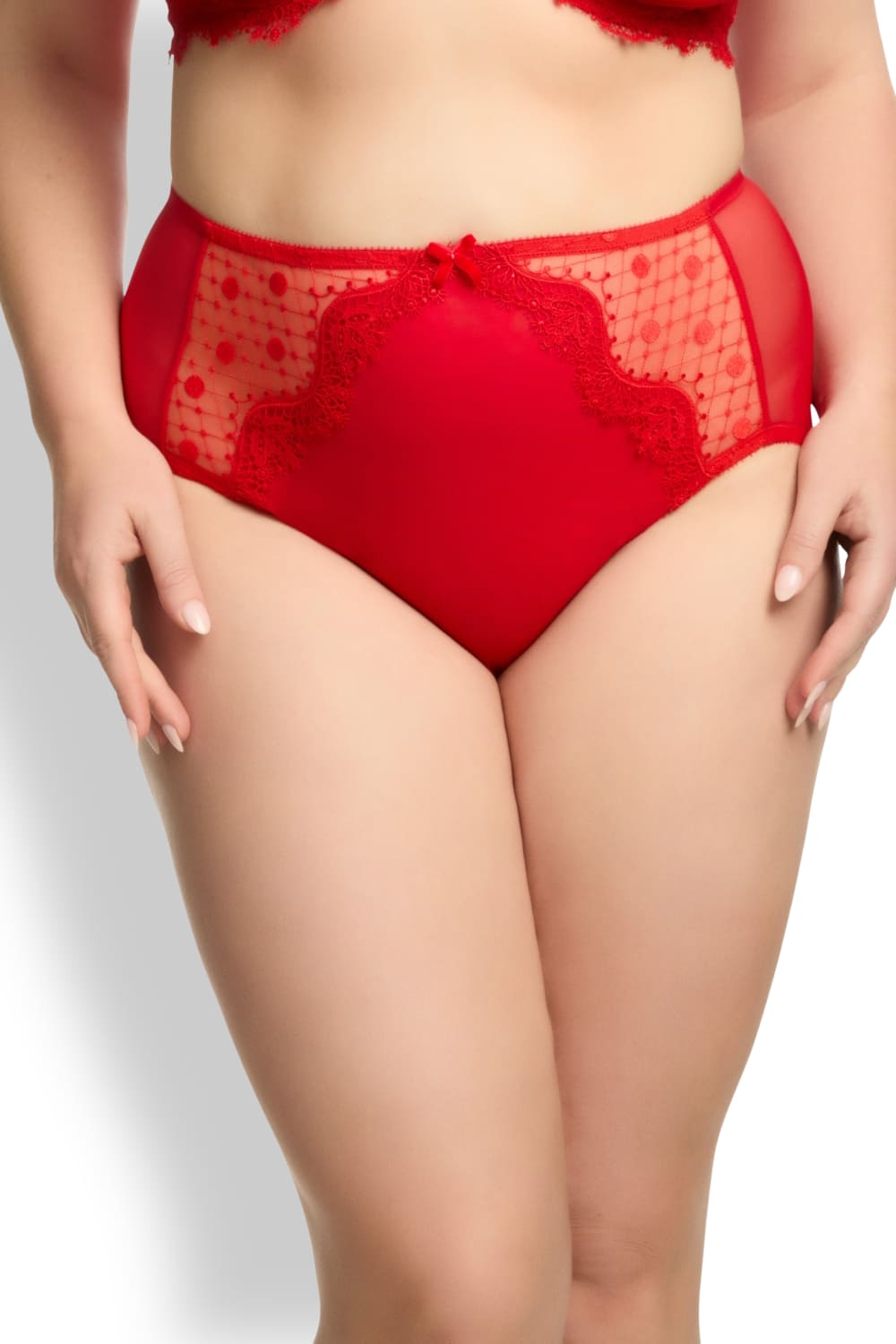 Кружевные трусы слипы с высокой талией Dita Von Teese D25024