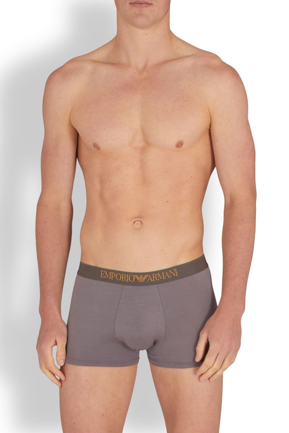 Мужские трусы боксеры из вискозы Emporio Armani EM000253 AF10787