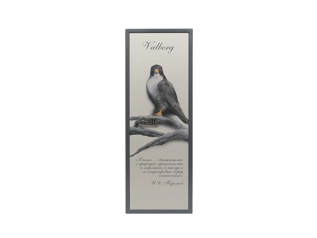 VALBERG САПСАН-4 EL Print