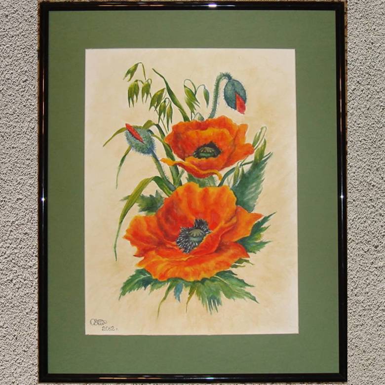 цветы акварель натюрморт маковая красная пара 118