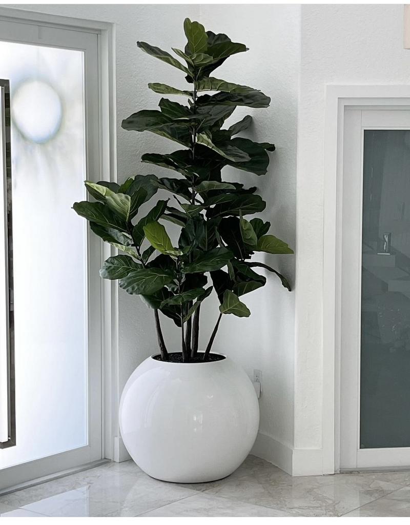 Фикус Лирата в кашпо искусственный №1042