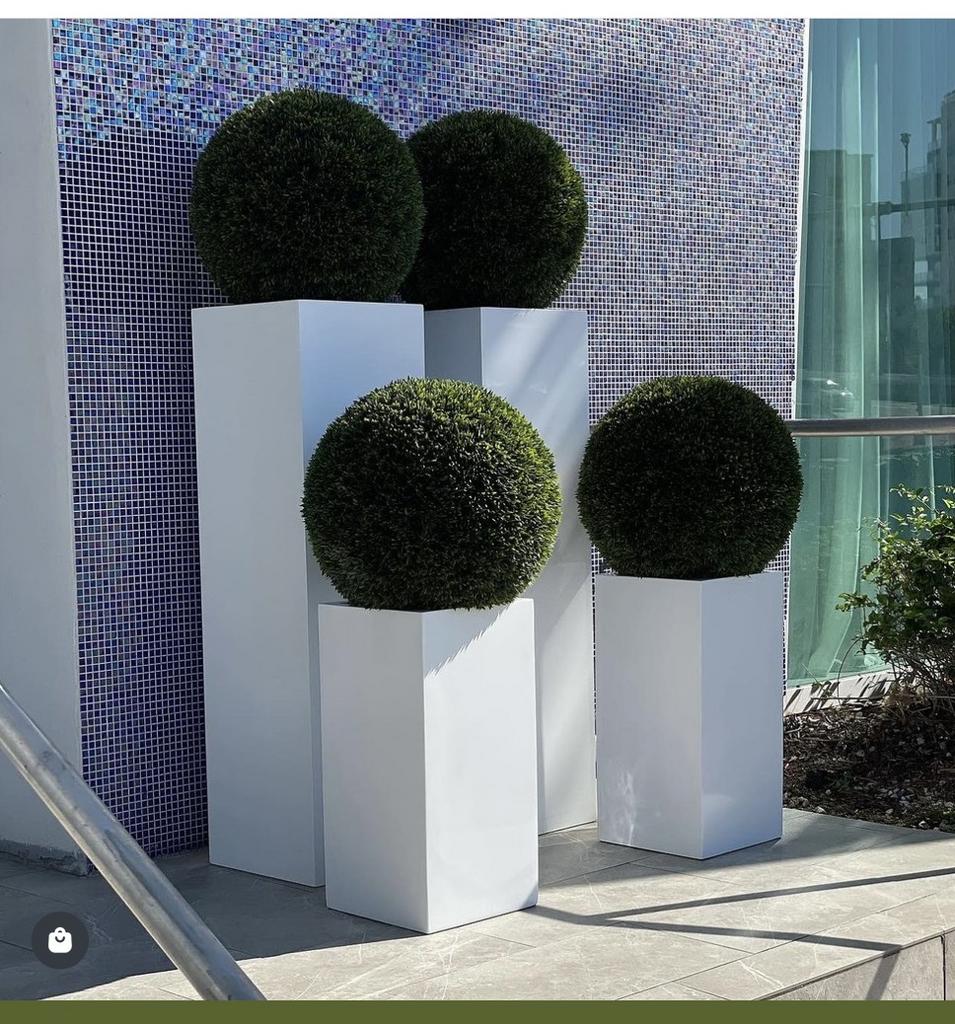 Самшит перед входом (иск)  №1044