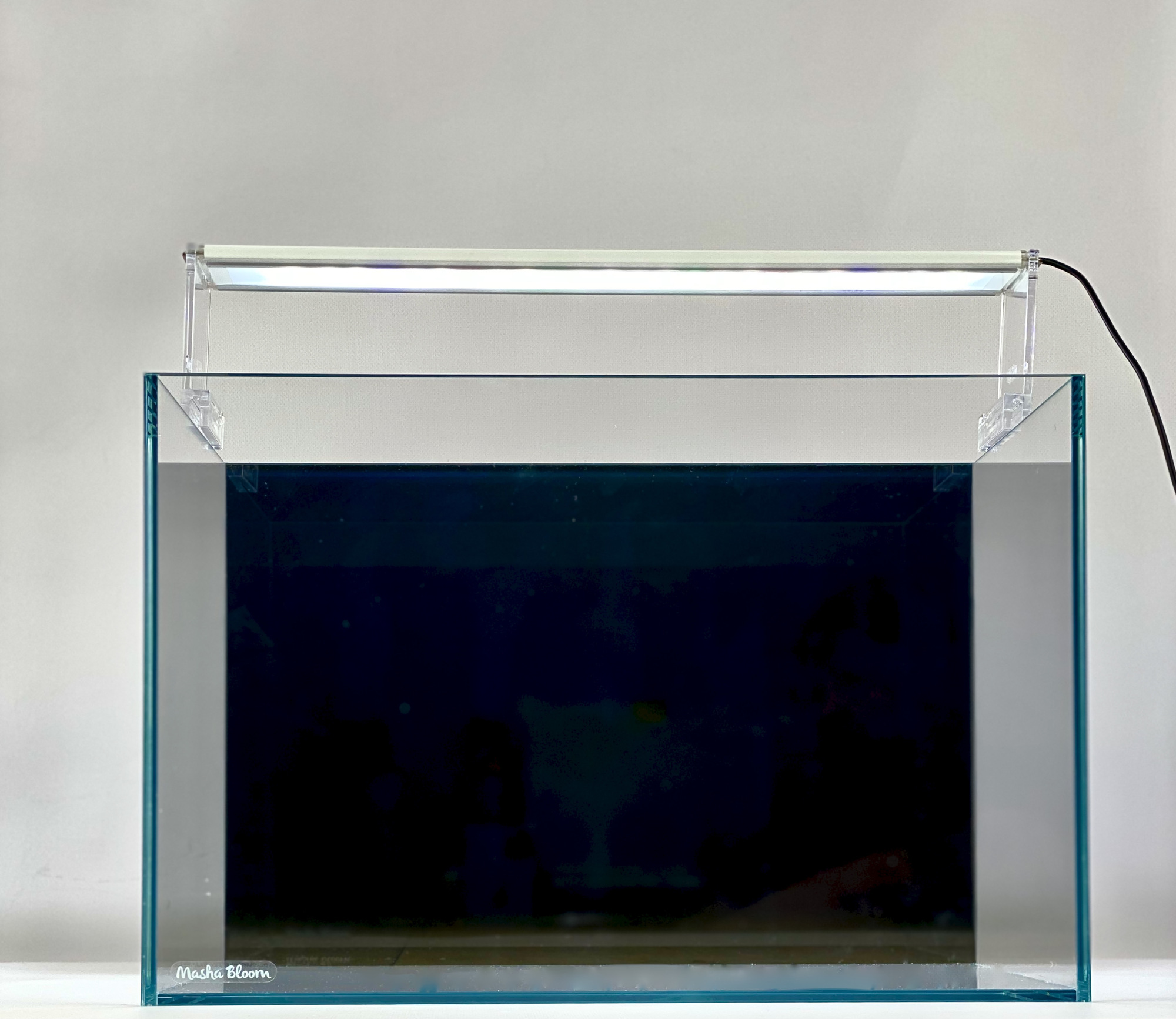 Фон для аквариума Masha Bloom черный