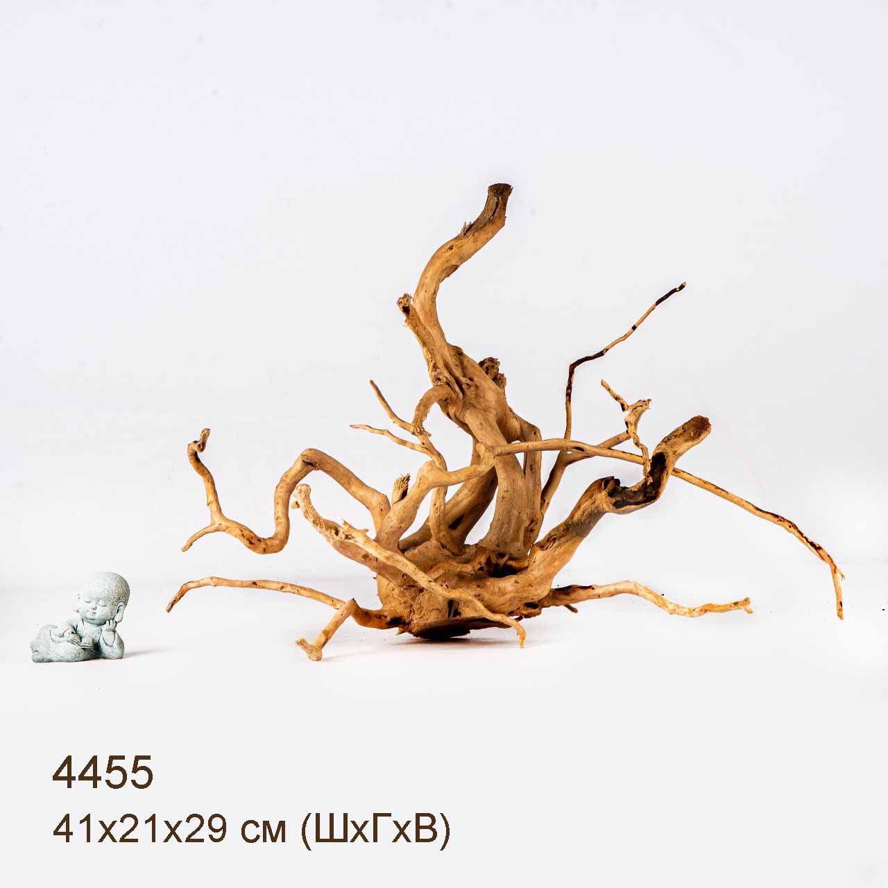 Коряга MASHA BLOOM Корень азалии L - 4455