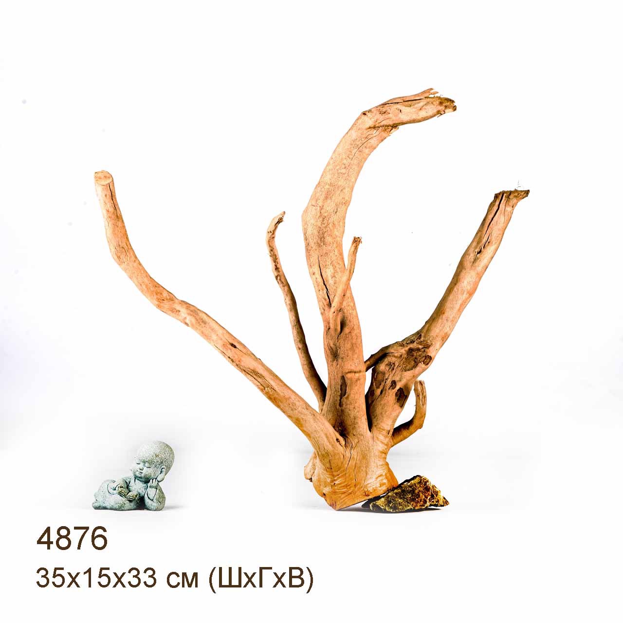 Коряга MASHA BLOOM Корень азалии S - 4876