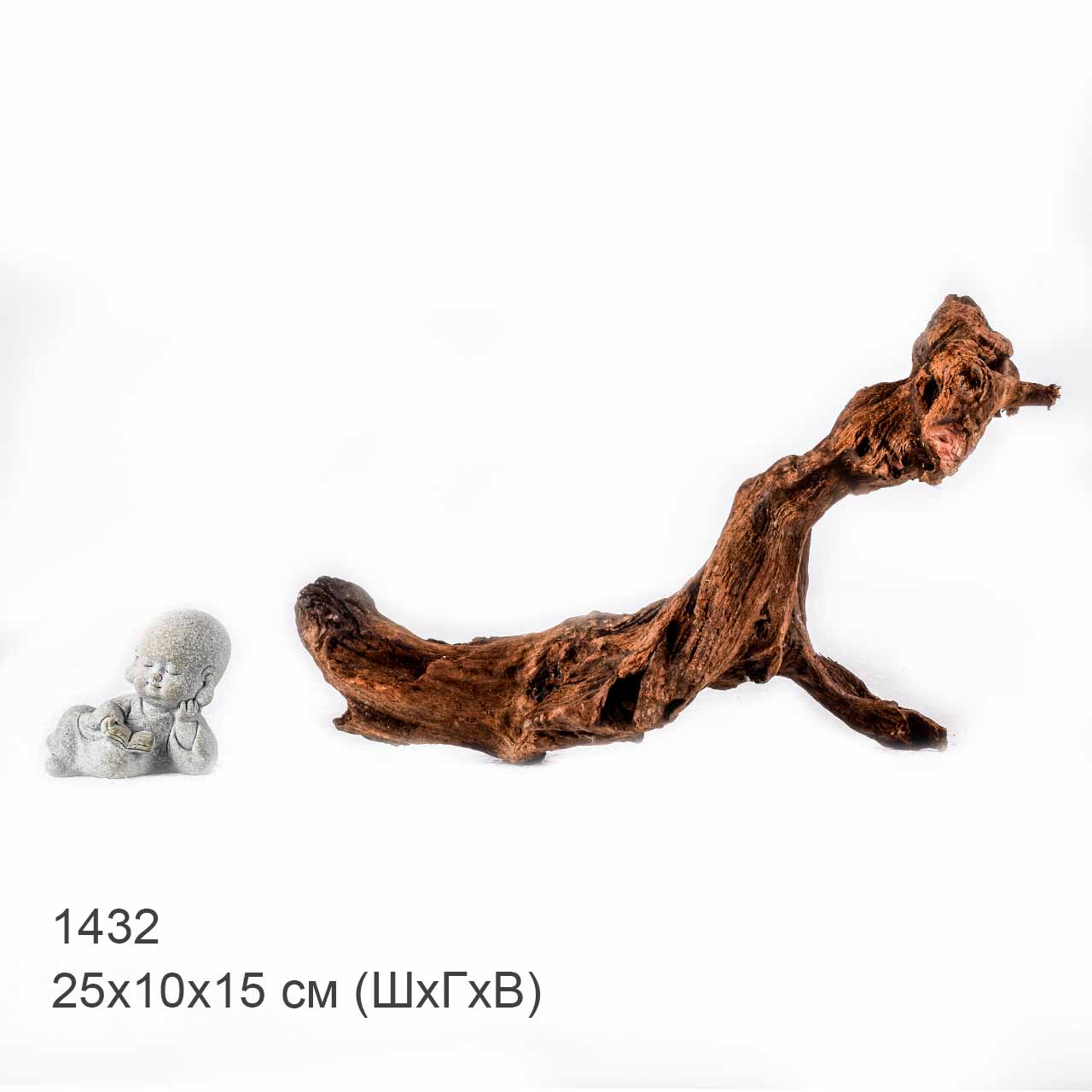 Коряга MASHA BLOOM "Железное дерево" затонувшая мангровая S - 1432