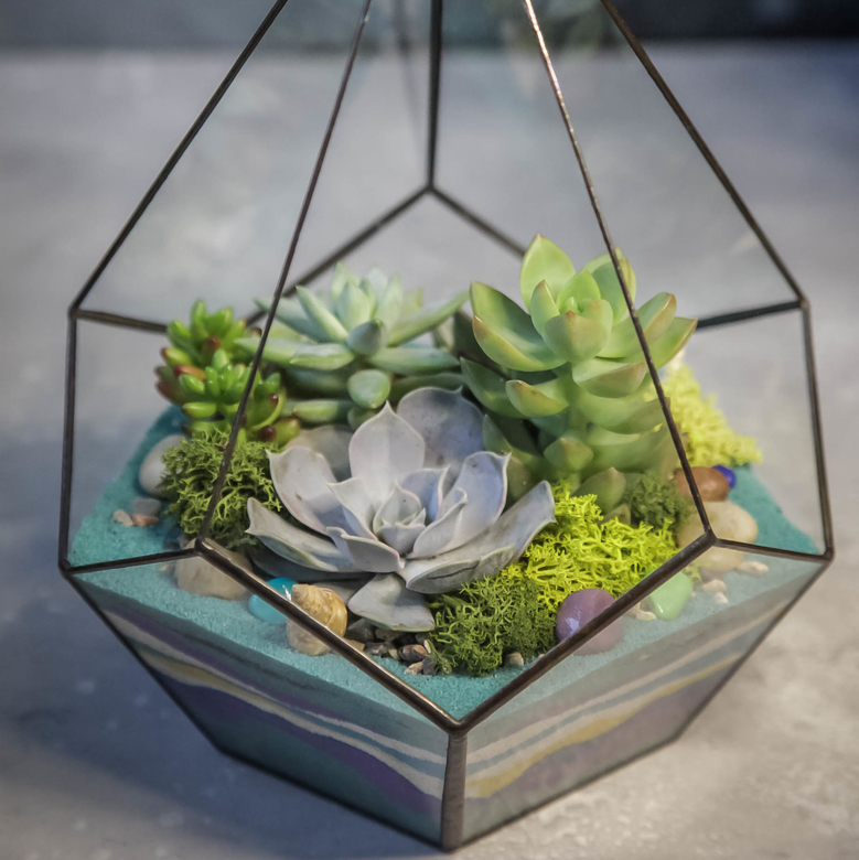 Капля мятная S, M, L, XL