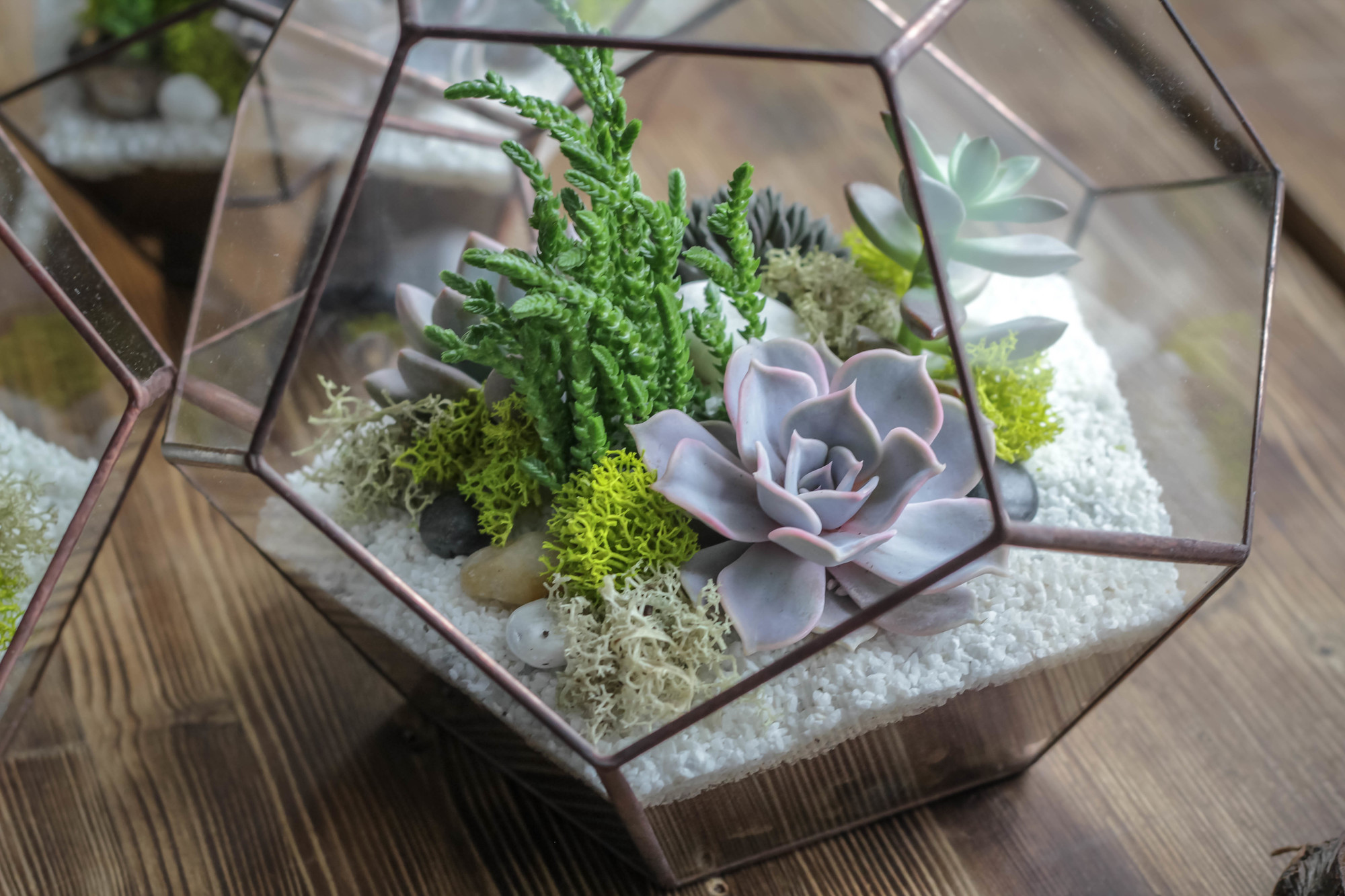 Флорариум Додекаэдр S, M, L, XL