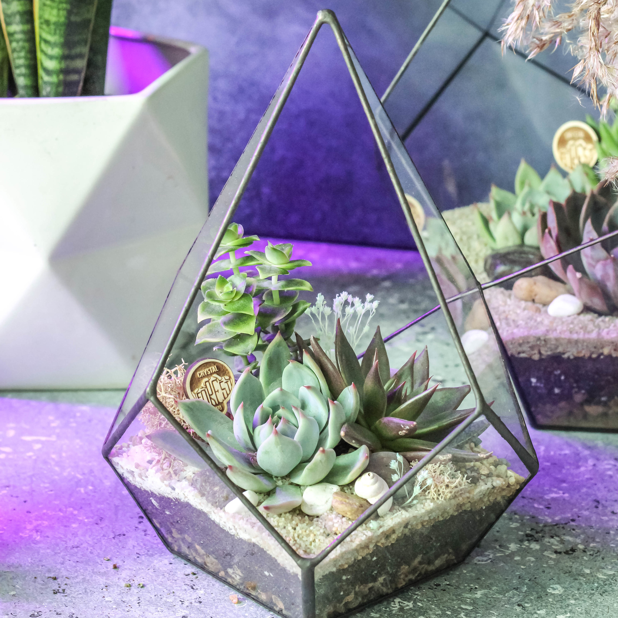 Флорариум Капля Simple S, M