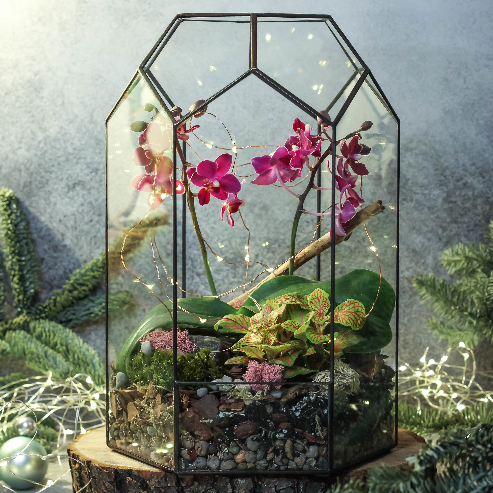 Оазис с орхидеей