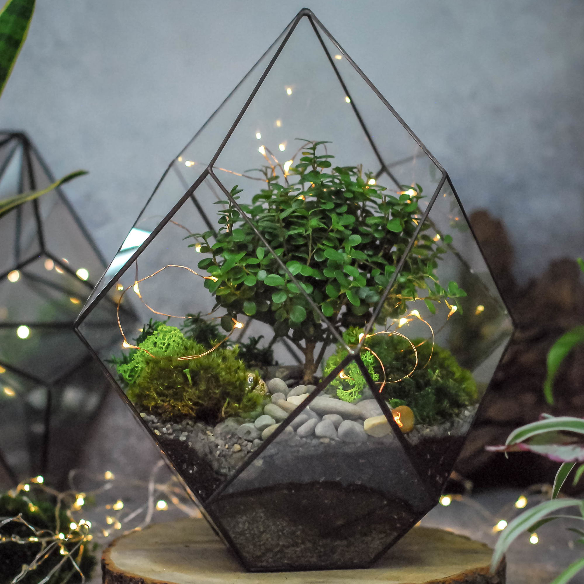 Кристалл L с мирсиной