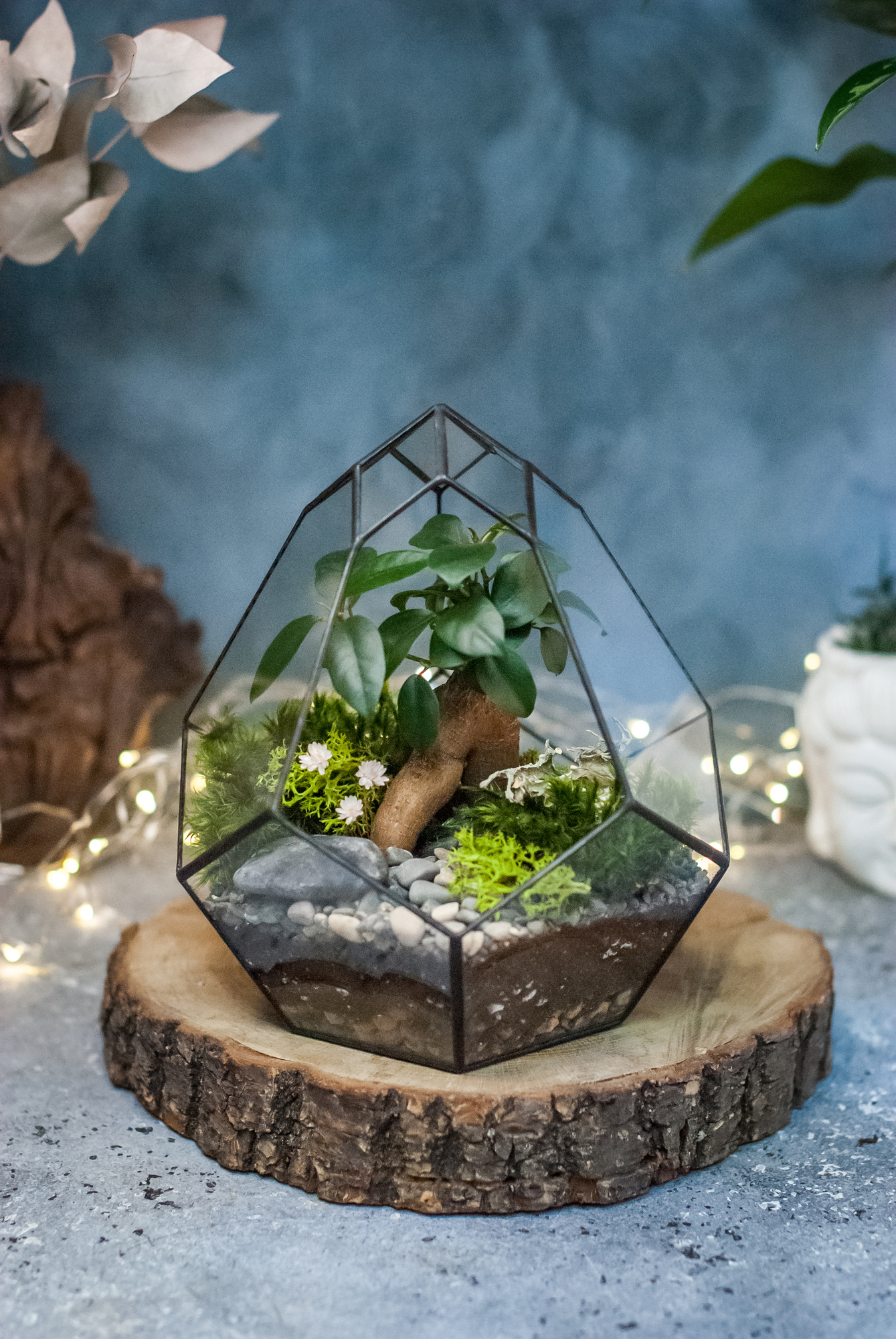 Бутон с бонсаем