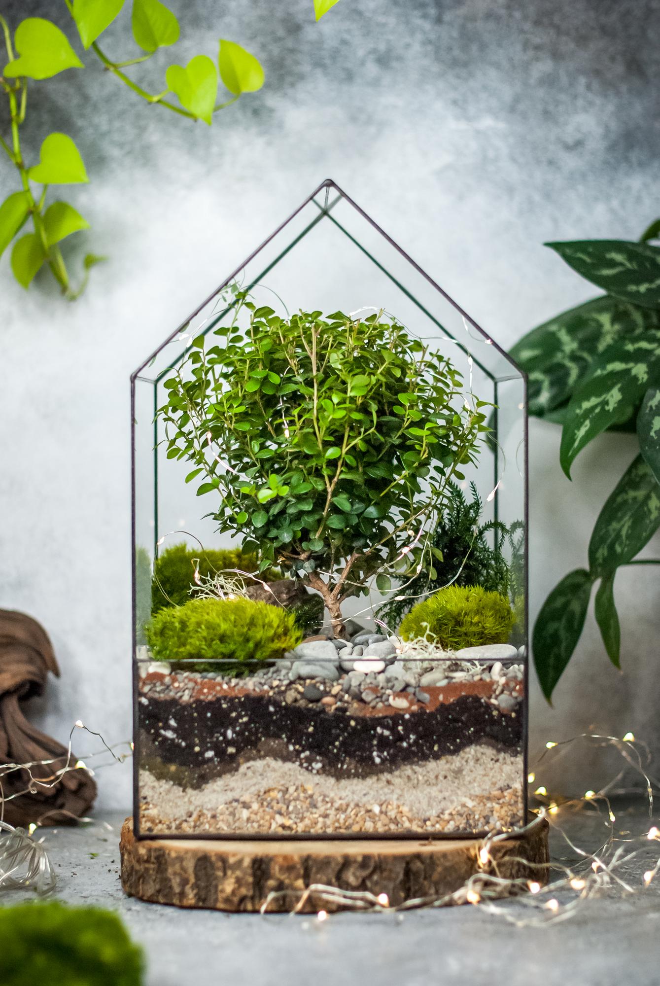 Бонсариум Домик с мирсиной