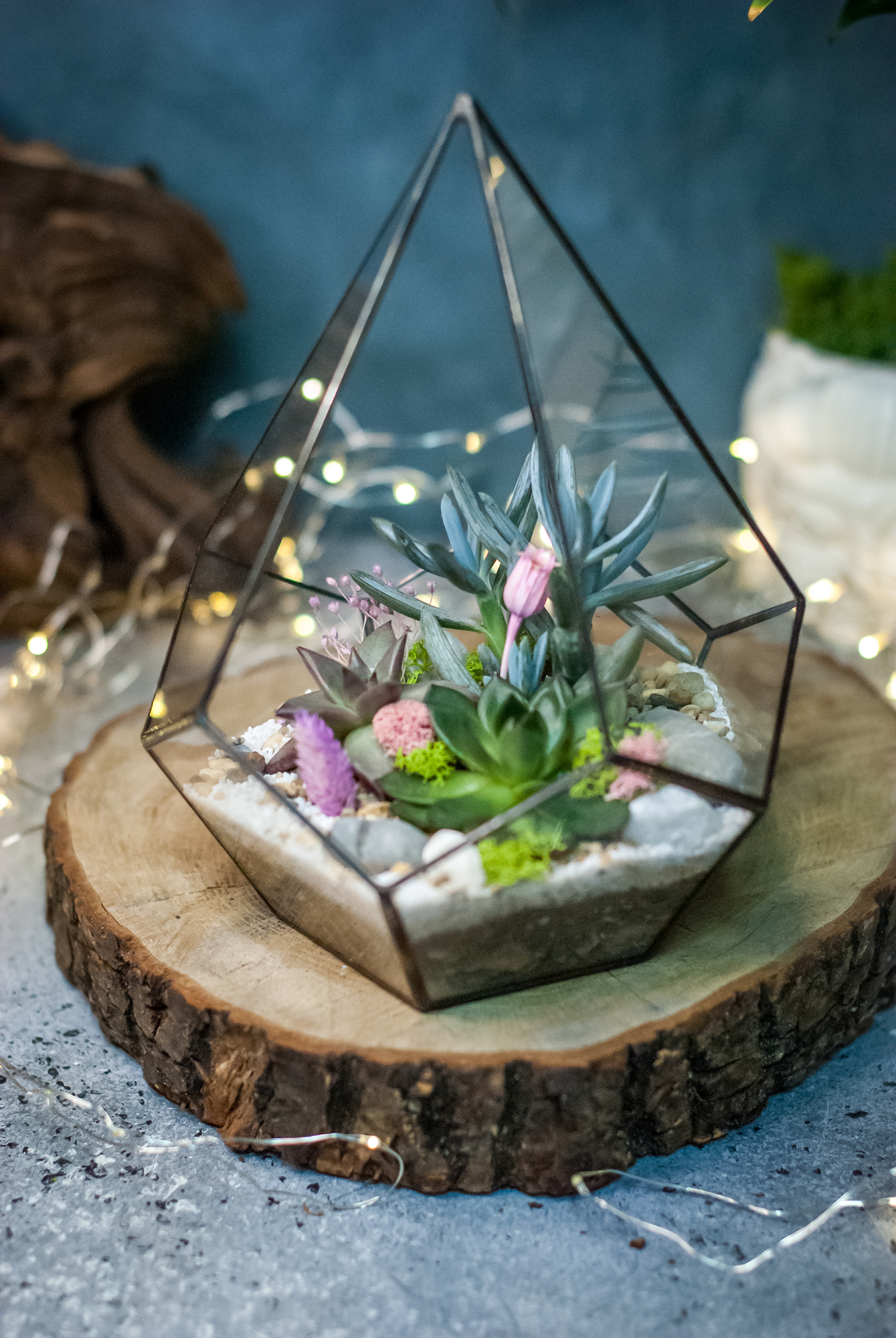 Флорариум Капля Весенняя