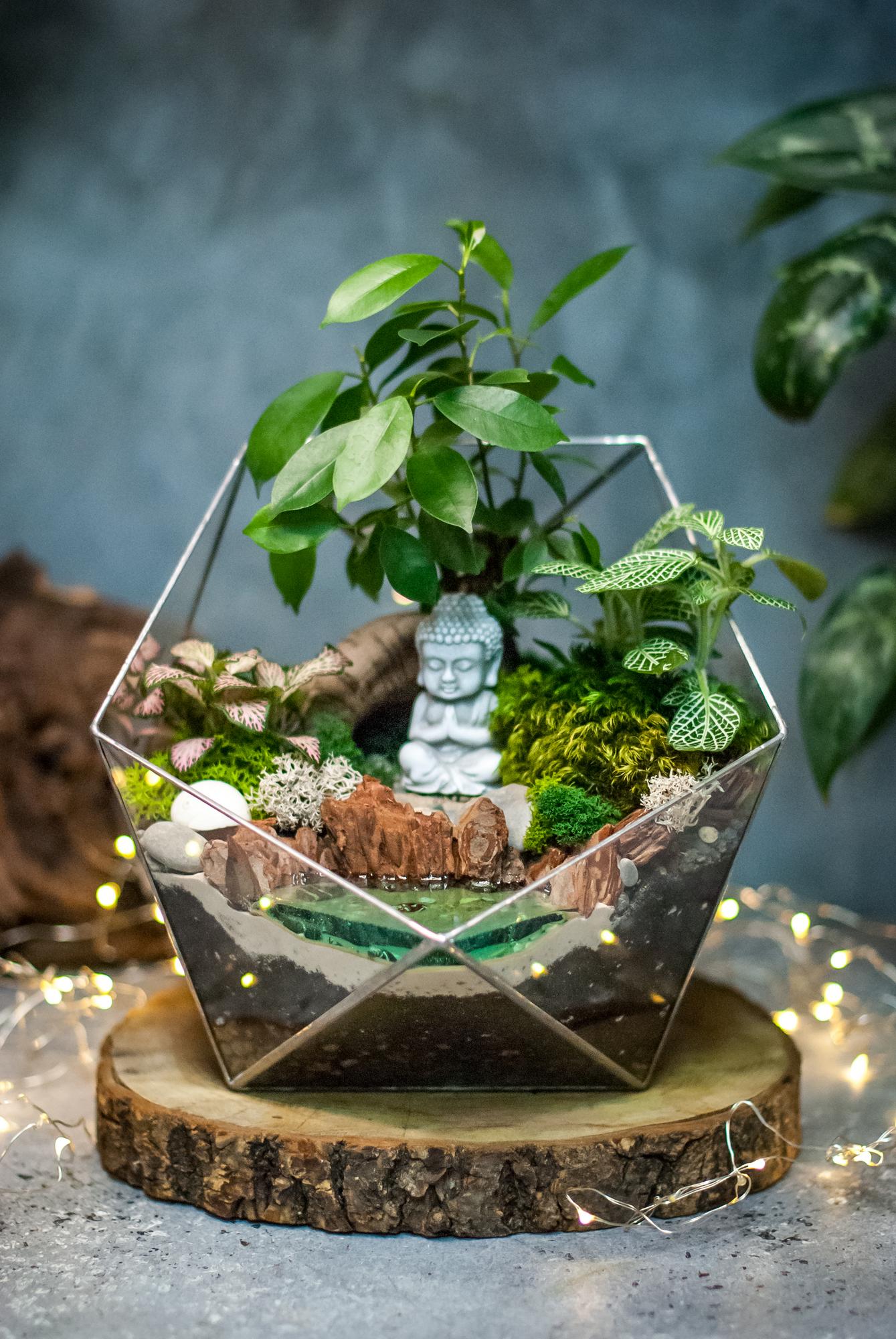 Икосаэдр L c мини фикусом и водоёмом