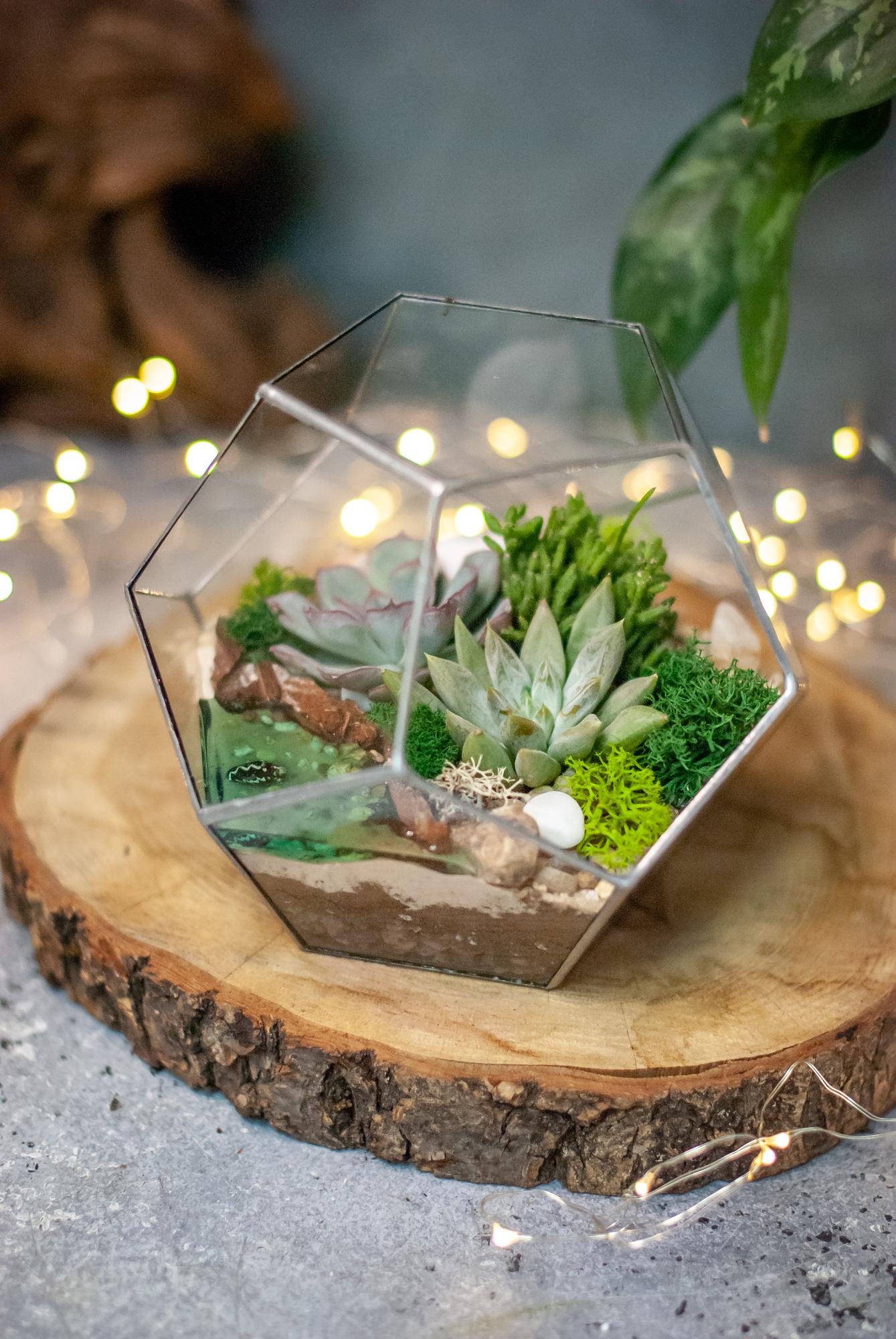Додекаэдр с суккулентами и водоёмом