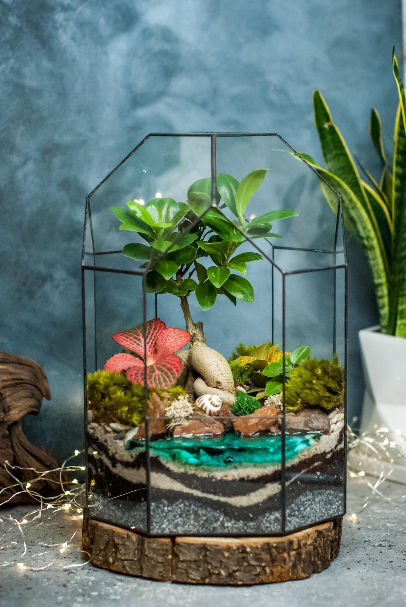 Бонсариум 35 см. с фикусом Гинсенг, фиттонией и озером