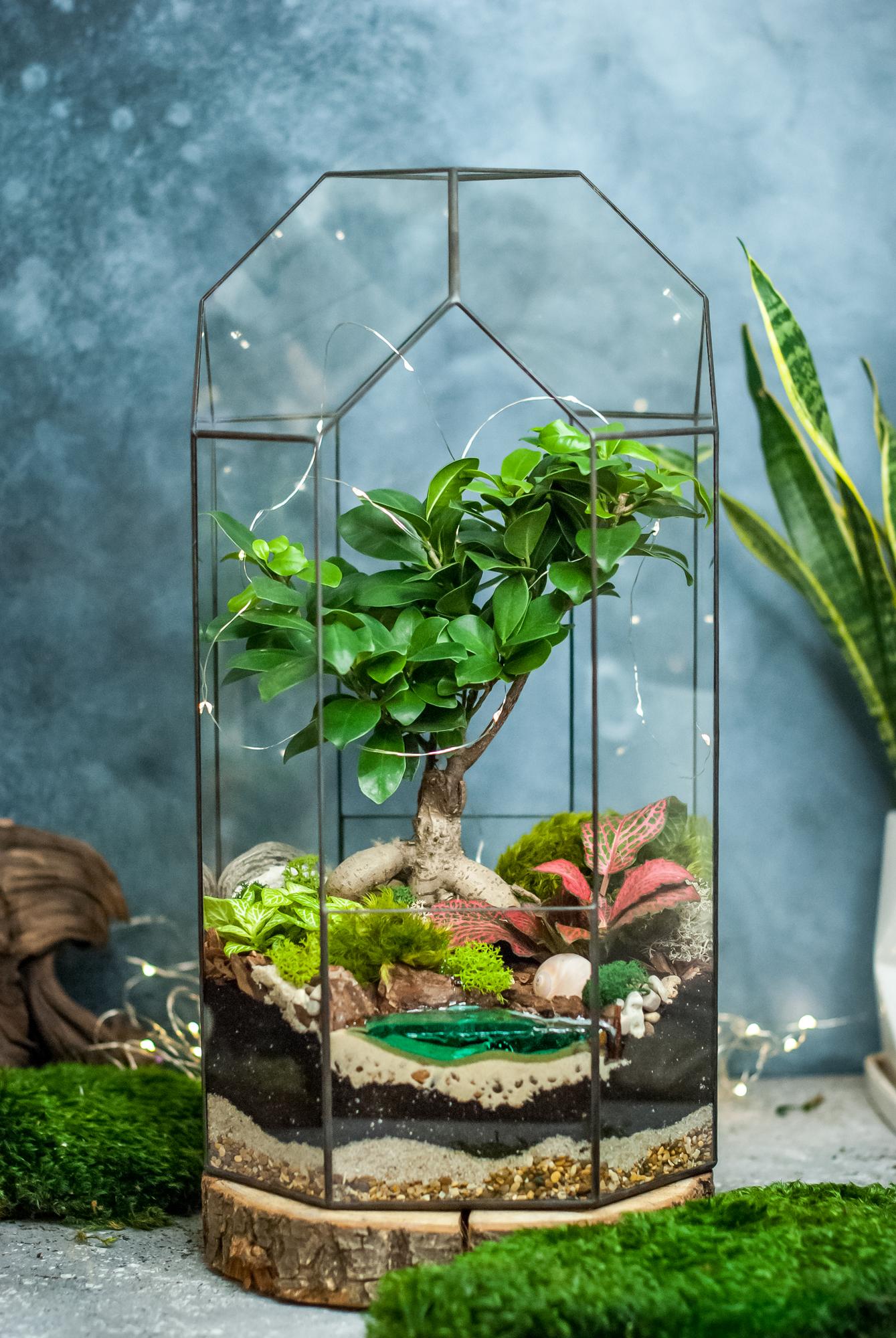 Бонсариум 45 см. с фикусом Гинсенг, фиттонией и озером