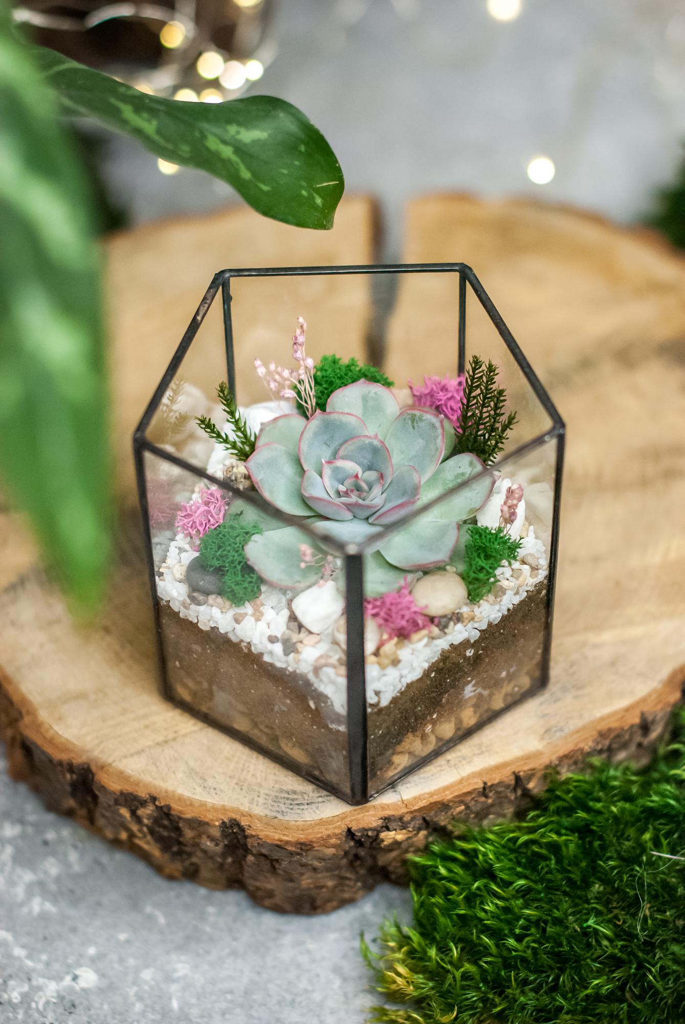 Призма с эхеверией