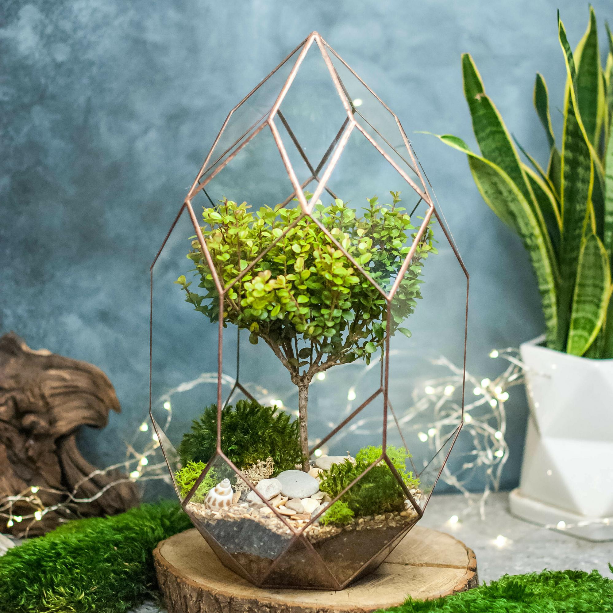 Андромеда с мирсиной