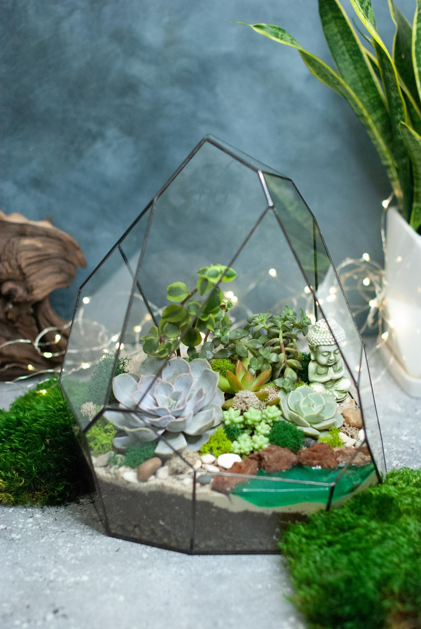 Флорариум Стоун с суккулентами