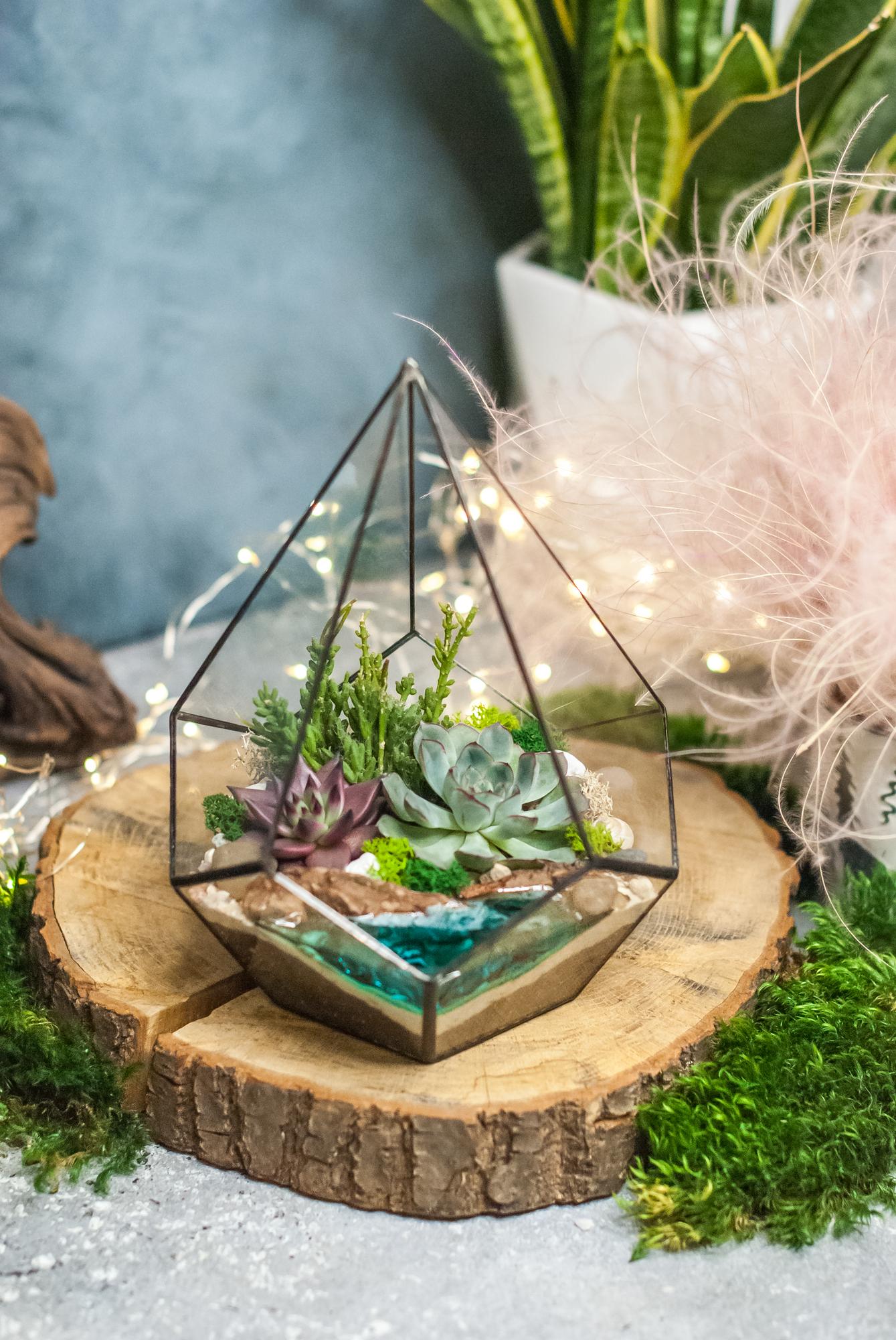 Капля с суккулентами и озером