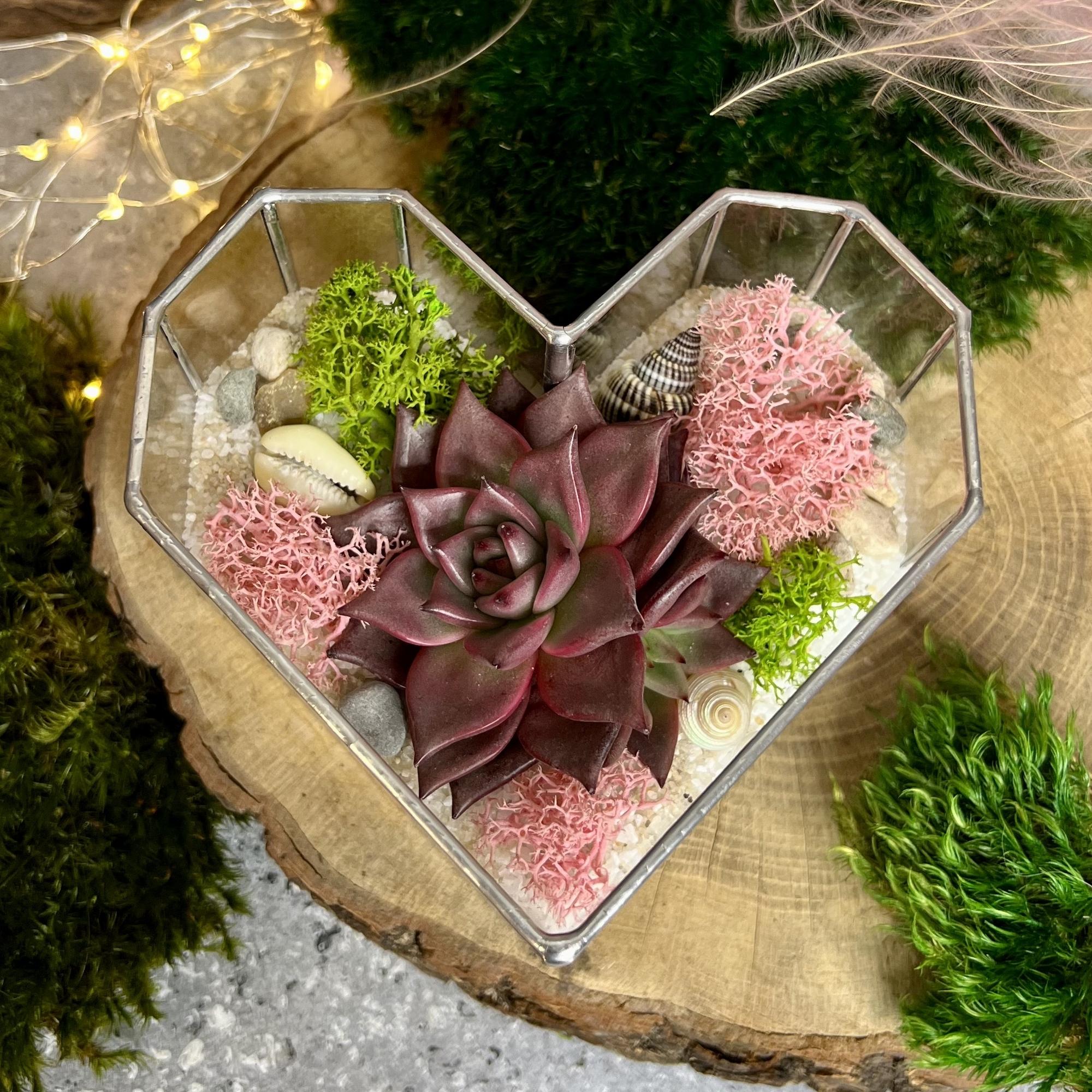 Сердце с суккулентами S