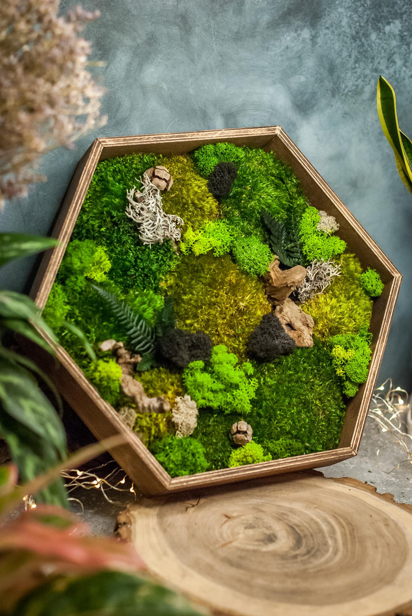 Панно со стабилизированным мхом