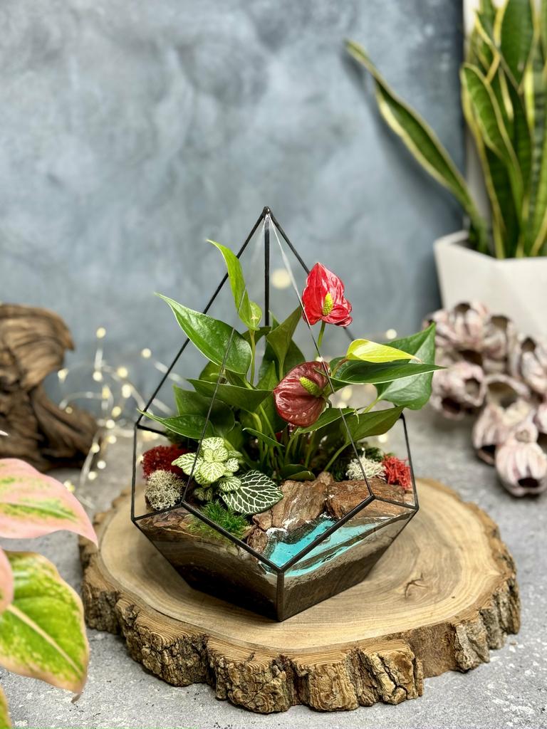 Капля L с антуриумом Red, фиттонией и озером