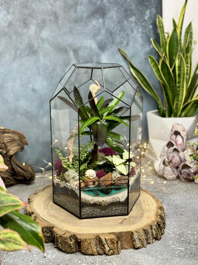 Оазис с бонсаем Кодиеум, папоротником, фиттонией и озером