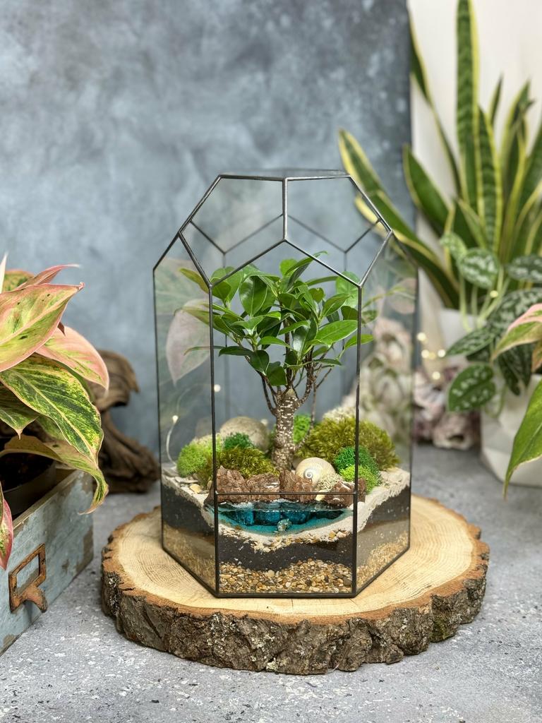 Оазис с фикусом Ретуса и озером