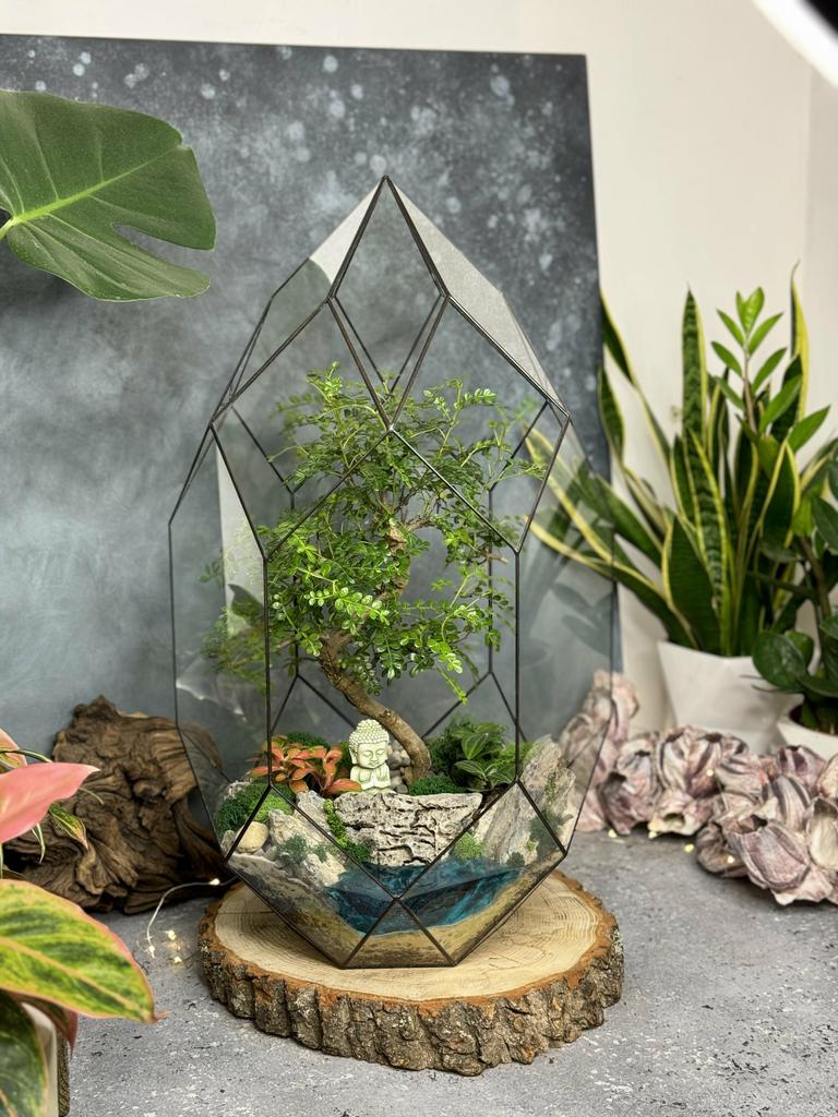 Гига Андромеда с Бонсаем Зантоксилум и озером из эпоксидной смолы