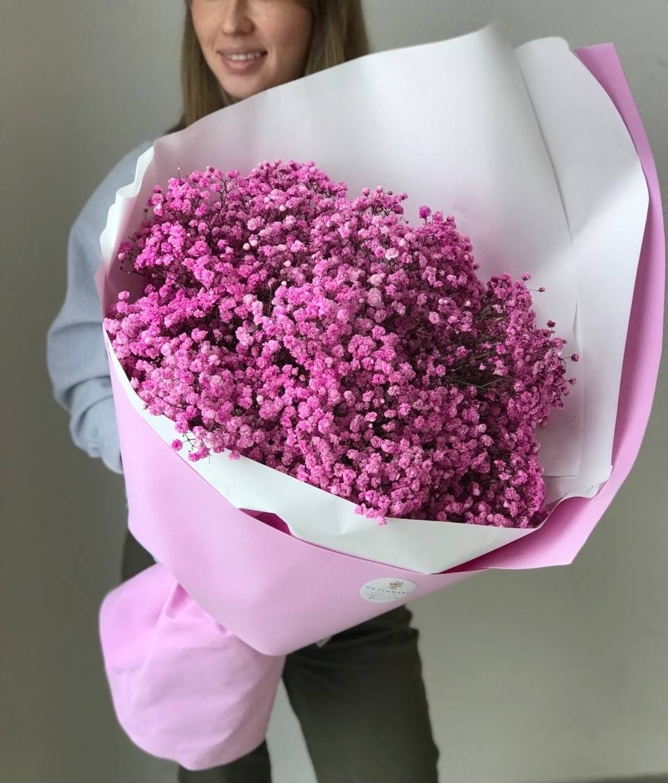 Розовая гипсофила