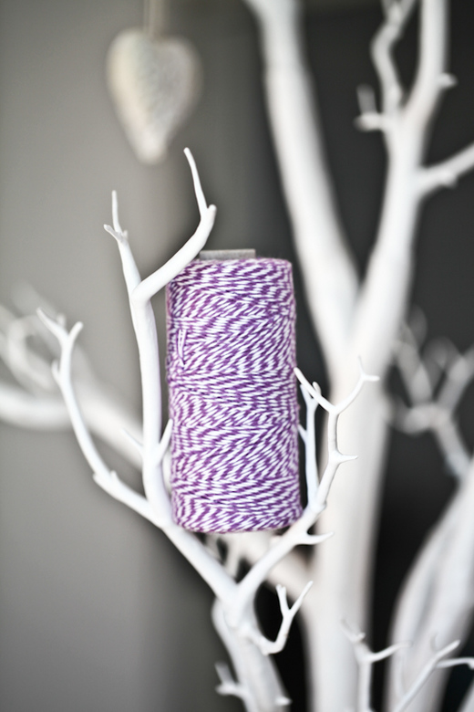 шнур лиловый